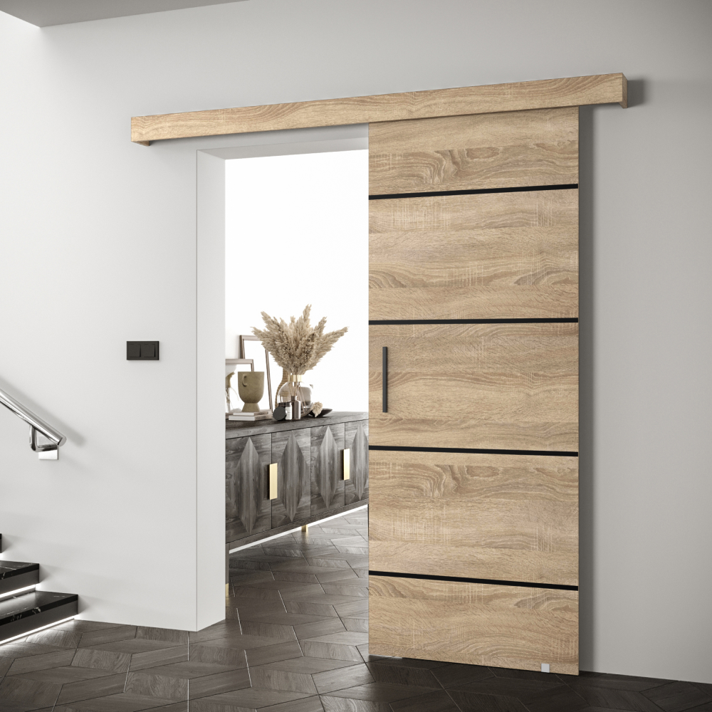 Posuvné dveře, dub sonoma/dub sonoma/černá, SALDOR 90 4