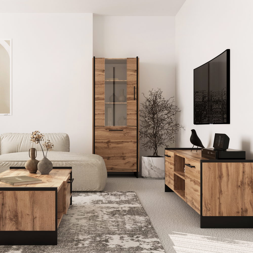 TV stolík, dub wotan/čierna, AMONI 2D