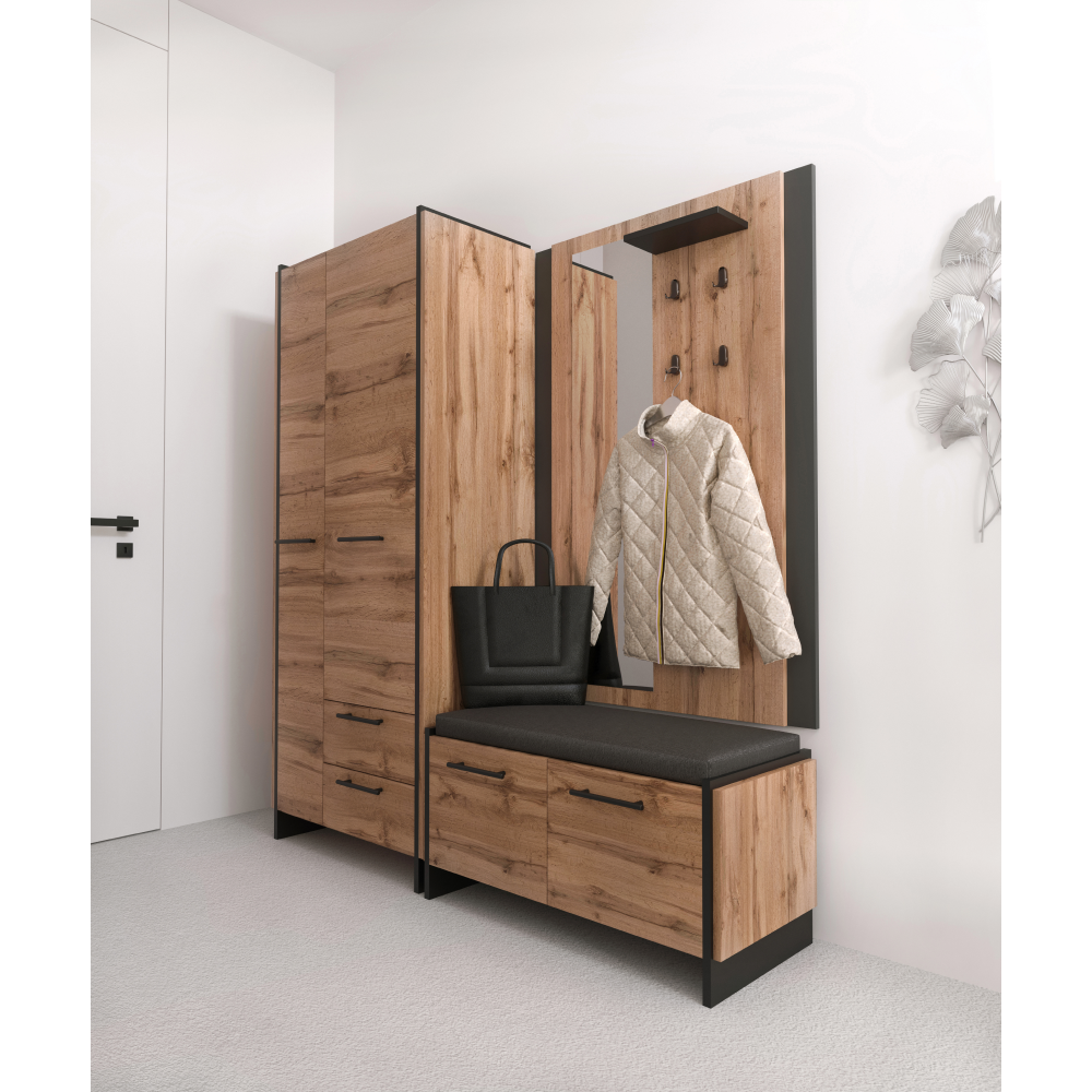 Skriňa, dub wotan/čierna, AMONI 2D2S/45