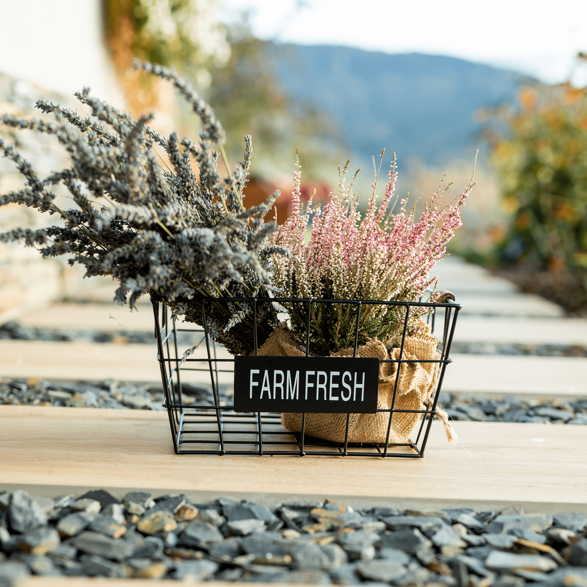 Kovový košík, čierna, RIVAN